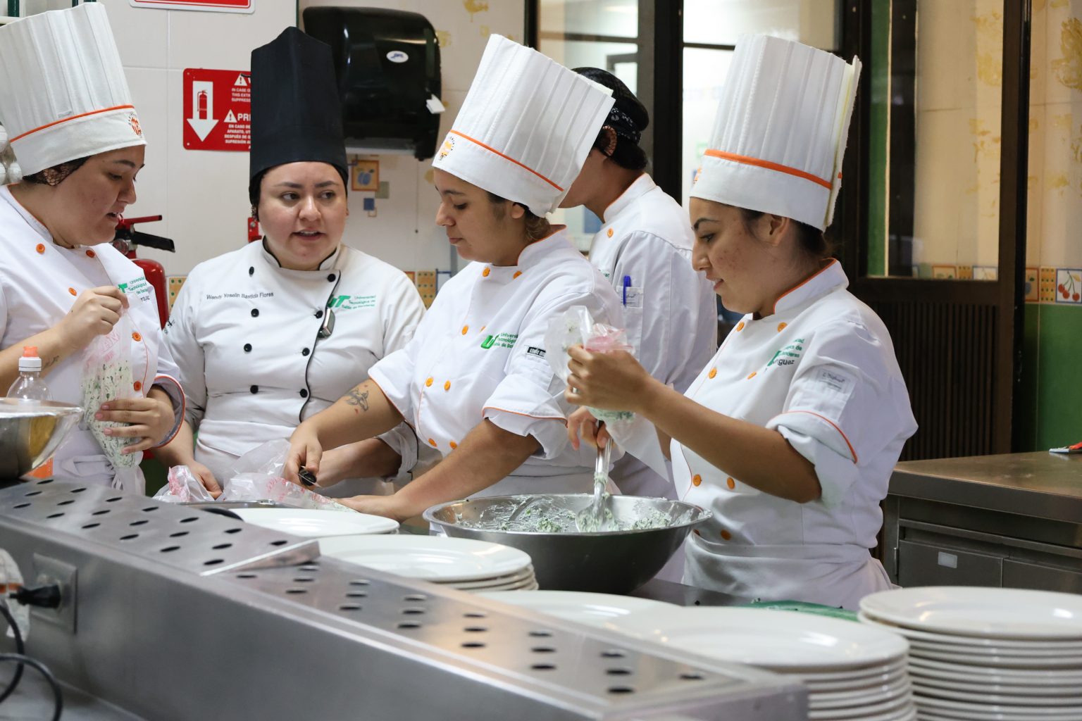 Licenciatura En Gastronomia Universidad Mariano Galvez